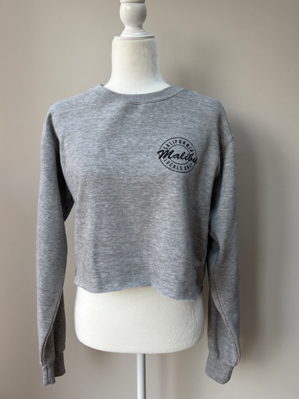 Brandy Melville Gray Malibu Cropped Crew Sweatshirt